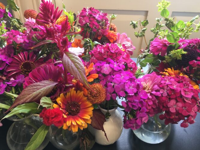Summer bouquets from garden bring smiles | News, Sports, Jobs - Vimarsana News